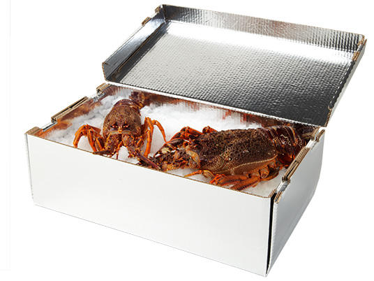 Large Lobster Styro Box/Lid